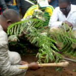 5ème édition du Camp d’excellence de ASPRJA : 4000 mètres carrés reboisés DES-PLANS-MIS-SOUS-TERRE