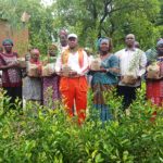 Commune de Poa: 1000 pieds de citronniers pour relancer la reforestation