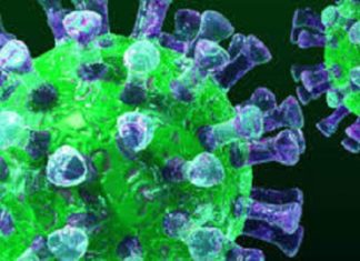 Le Faso sera-t-il le tombeau du Covid-19 ? Coronavirus -dans -le monde- mais- à –quoi- joue- l’OMS ?