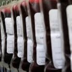 Santé: le sang, la perle rare du moment Santé- le- sang- la –perle- rare- du- moment