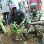 Journée nationale de l’arbre : l’association Boumbayé met 300 plants en terre à Koankin DES-ARBRES-MIS-SOUS-TERRE