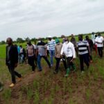 Campagne agricole dans le sud-ouest : la physionomie des plants se présente assez bien Campagne -agricole –dans- le -sud-ouest- la- physionomie -des -plants -se -présente -assez -bien