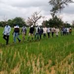 Campagne agricole au Centre-Nord : le ministre Salifou Ouédraogo satisfait de la physionomie des champs Campagne-agricole-au-Centre-Nord