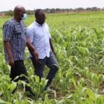 Suivi de la compagne agricole 2020 dans la région du nord : L’objectif un millions de tonne de riz en marche Suivi-de-la-compagne-agricole-2020-dans-la-région-du-nord