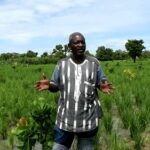Agriculture au Sanguié : de la restauration à l’agro-business, « tonton Djonny » fait ses preuves Agriculture- au -Sanguié -de -la -restauration –à- l’agro-business-tonton- Djonny- fait –ses- preuves