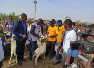 Campagne électorale : le MPS au marché de bétails de Tanghin Burkina-campagne-electorale-2020-yacouba-isaac-zida-tanghin-ouagadougou
