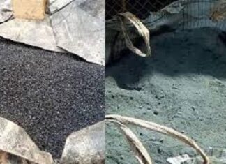 Dossier charbon fin : une expertise ‘’sans pression’’ AFFAIRE-CHARBON-FIN-LES-EXPERTS-TOUJOURS-EN-TRAVAUX