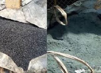 Dossier charbon fin : une expertise ‘’sans pression’’ Dossier- charbon- fin -une -expertise –sans- pression