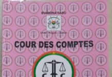 Cour des comptes : le rapport public 2019 est désormais disponible RAPPORT -DE-LA-COUR-DES-COMPTES