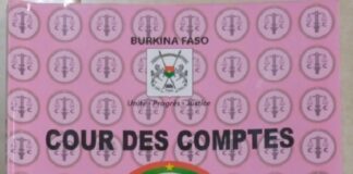 Cour des comptes : le rapport public 2019 est désormais disponible RAPPORT -DE-LA-COUR-DES-COMPTES