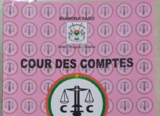 Cour des comptes : le rapport public 2019 est désormais disponible RAPPORT -DE-LA-COUR-DES-COMPTES