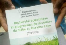 Culture du niébé au Burkina Faso : un nouvel ouvrage pour améliorer la production Culture –du- niébé- au- Burkina- Faso- un- nouvel- ouvrage- pour- améliorer- la- production