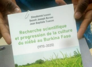 Culture du niébé au Burkina Faso : un nouvel ouvrage pour améliorer la production Culture –du- niébé- au- Burkina- Faso- un- nouvel- ouvrage- pour- améliorer- la- production