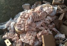 Lutte contre la contrebande : 1050 poulets congelés importés saisis dans la province du Zoundwéogo POULETS-SAISIS