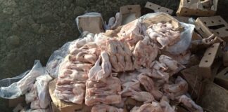 Lutte contre la contrebande : 1050 poulets congelés importés saisis dans la province du Zoundwéogo POULETS-SAISIS