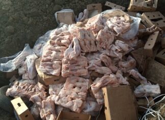 Lutte contre la contrebande : 1050 poulets congelés importés saisis dans la province du Zoundwéogo POULETS-SAISIS