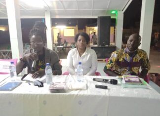 Musique : l’artiste Evi sort son deuxième album ‘’Succès’’ Evi-album-Succès