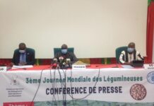 Campagne agricole 2020 : 5 179 104 tonnes de céréales enregistrées Campagne -agricole -2020- 5 179 104 -tonnes –de- céréales -enregistrées