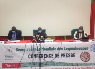 Campagne agricole 2020 : 5 179 104 tonnes de céréales enregistrées Campagne -agricole -2020- 5 179 104 -tonnes –de- céréales -enregistrées