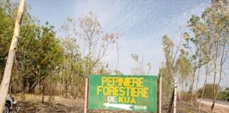 Communiqué du Mouvement pour la Protection de la Forêt de Kua (MPFK) FORET-DE-KUA