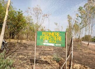 Communiqué du Mouvement pour la Protection de la Forêt de Kua (MPFK) FORET-DE-KUA
