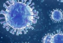 Covid 19 : le vaccin russe, Spoutnik V sauvera-t-il les africains ? Covid-19 -le -vaccin –russe-Spoutnik -V -sauvera-t-il -les -africains ?