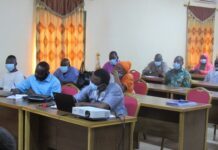 Projet USAID Yidgiri : pour valoriser la filière niébé Projet-USAID -Yidgiri-vers-la-aloriser- la- filière -niébé