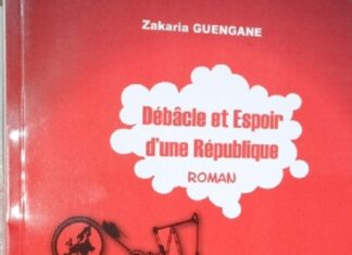 Bavures politiques : Zakaria Guengané en parle dans son livre « Débâcle et espoir d’une république » debacle-de-zakaria-guengane