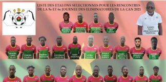 5e et 6e journée des éliminatoires CAN 2021 : la liste des étalons convoqués est connue LISTE-DES-JOUEURS