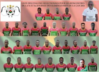 5e et 6e journée des éliminatoires CAN 2021 : la liste des étalons convoqués est connue LISTE-DES-JOUEURS