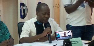 Programme d’appui aux industries créatives et à la gouvernance de la culture: « 74 projets retenus », Alphonse Tougouma «- 74- projets -retenus »- Alphonse -Tougouma