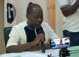 Programme d’appui aux industries créatives et à la gouvernance de la culture: « 74 projets retenus », Alphonse Tougouma «- 74- projets -retenus »- Alphonse -Tougouma