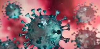 Covid-19 au Burkina : un an après, le bilan fait état de 12 181 cas dont 143 décès Covid-