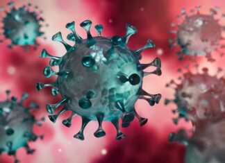 Covid-19 au Burkina : un an après, le bilan fait état de 12 181 cas dont 143 décès Covid-