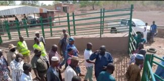 Houndé : le marché à bétail est désormais fonctionnel MARCHE-A-BETAIL