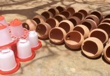 Réinsertion sociale : 45 femmes retirées de la rue reçoivent des kits de production et un fonds de roulement Réinsertion-sociale -45- femmes- retirées- de- la- rue -reçoivent –des- kits -de –production- et -un -fond -de -roulement