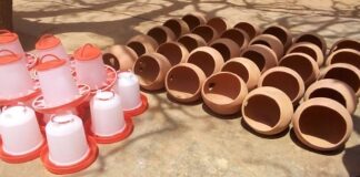 Réinsertion sociale : 45 femmes retirées de la rue reçoivent des kits de production et un fonds de roulement Réinsertion-sociale -45- femmes- retirées- de- la- rue -reçoivent –des- kits -de –production- et -un -fond -de -roulement