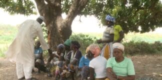 Résilience des femmes PDI : ces dames qui constituent un modèle UNE-VUE-DES-FEMMES-BATTANTES