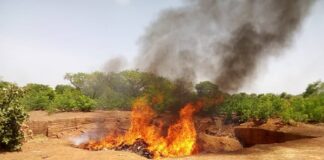 Province du Nahouri : une quantité importante de drogue et des produits psychotropes de type amphétamines incinérés DES-PRODUITS-INCINERES-A-PO