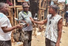 Ramadan 2021 : des vendeurs de volaille crient à la morosité du marché Constat -fete-de-ramadan