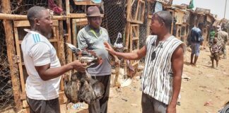 Ramadan 2021 : des vendeurs de volaille crient à la morosité du marché Constat -fete-de-ramadan