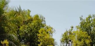 Baignade rafraîchissante dans les chutes de Karfiguèla !