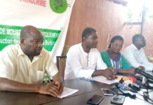 Organismes génétiquement modifiés : le collectif citoyen pour l’agroécologie crie halte