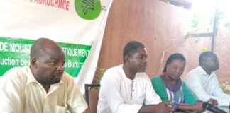 Organismes génétiquement modifiés : le collectif citoyen pour l’agroécologie crie halte