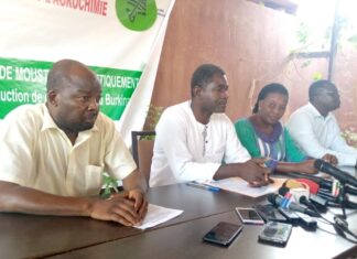 Organismes génétiquement modifiés : le collectif citoyen pour l’agroécologie crie halte