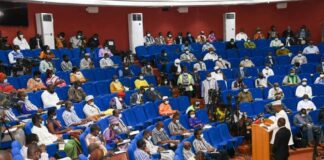 Des parlementaires se comportent comme des perdreaux de l’année !