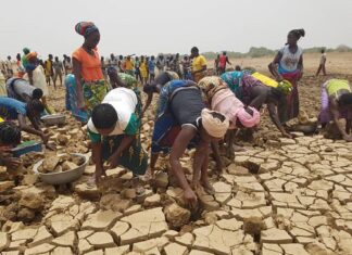 Goundi : le barrage s’ensable et à mains nues, la population tente de le curer Goundi –le- barrage- s’ensable –et- à –mains- nues- la -population -tente –de- le- curer