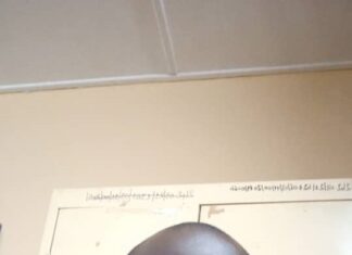 Santé : « Une infection peut être tout à fait bénigne comme le rhume ou très grave voire mortelle. » Dr Ali Ouédraogo, Médecin Biologiste INTERVIEW-SUR-LES-INFECTIONS