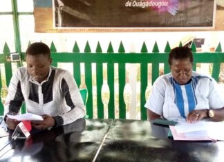 1ère édition du festival FELO : les organisateurs dressent un bilan satisfaisant 1ère -édition -du -festival –FELO- les -organisateurs -dressent -un –bilan- satisfaisant