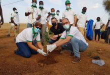 Journée Mondiale de l’Environnement 2021 : la mine Essakane agit pour restaurer l’écosystème JOURNEE-DE-ENVIRONNEMENT-EN-DIFFERE-A-ESSAKANE